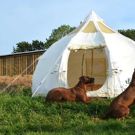 Luxury tent Glamping Stargazer Bell Tent - Heydaze *